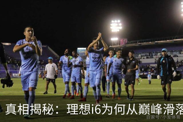 真相揭秘：理想i6为何从巅峰滑落，错过热销的原因大盘点！